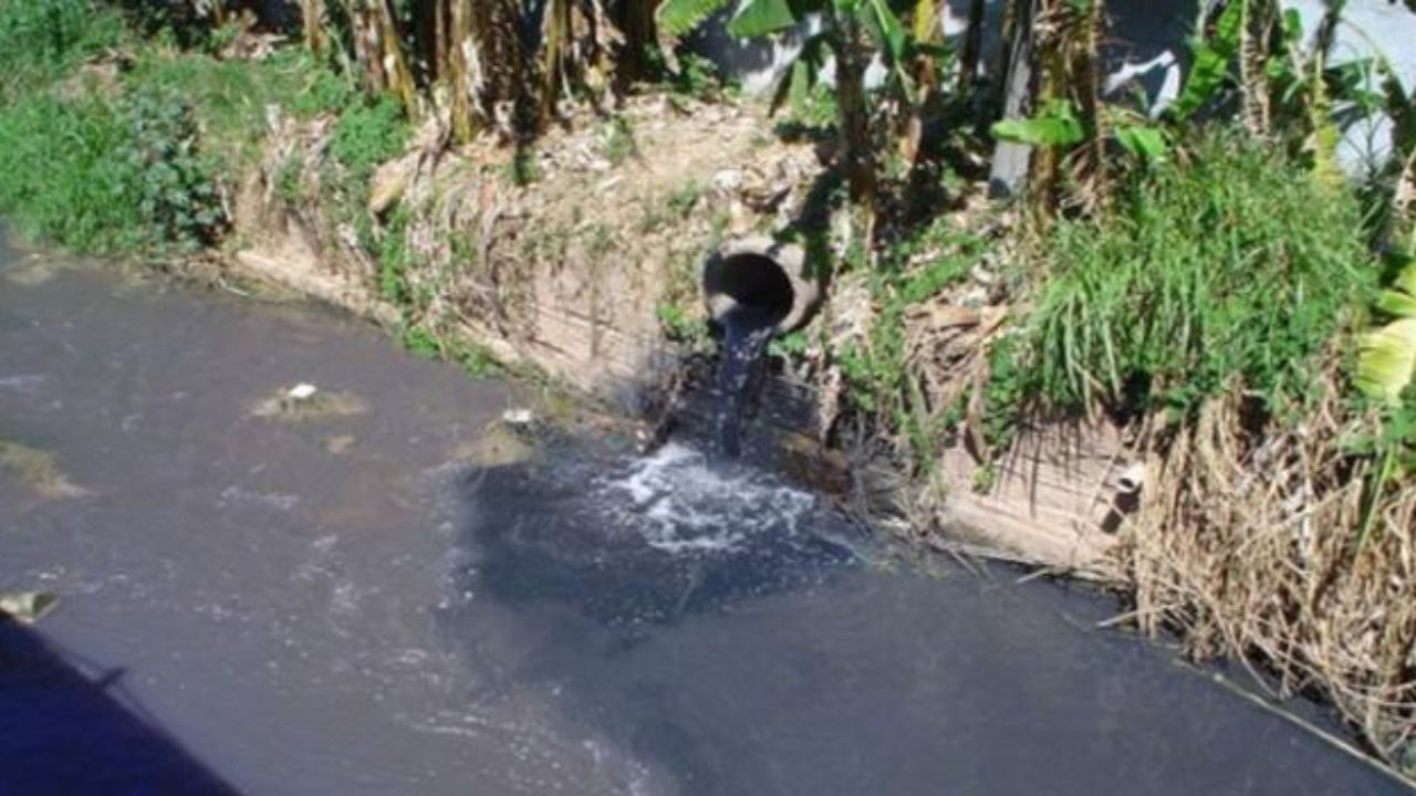 En un juicio abreviado fueron condenados dos directivos a tres años de prisión condicional. Ambos reconocieron su responsabilidad por contaminar los cursos de agua que desembocan en el río Salí.