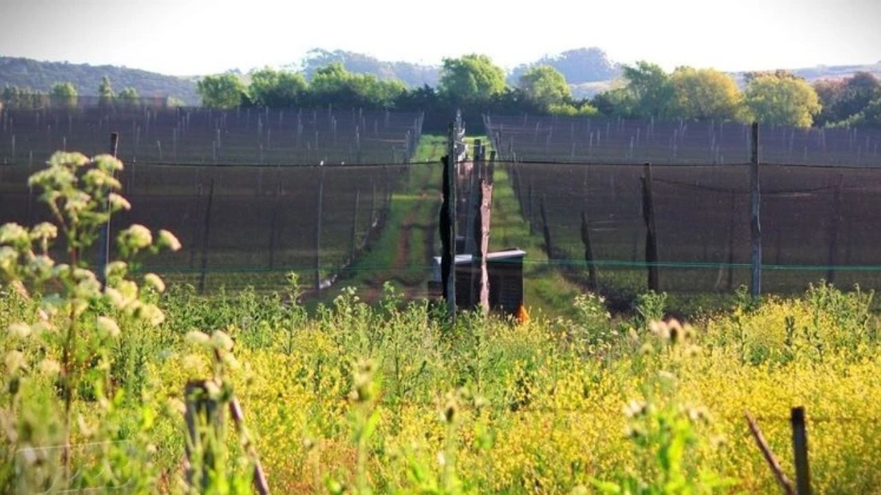 Productores, referentes del sector frutihortícola, autoridades provinciales y fuerzas de seguridad mantuvieron una reunión para analizar el aumento de los robos en zonas rurales y coordinar medidas de prevención en General Pueyrredon.