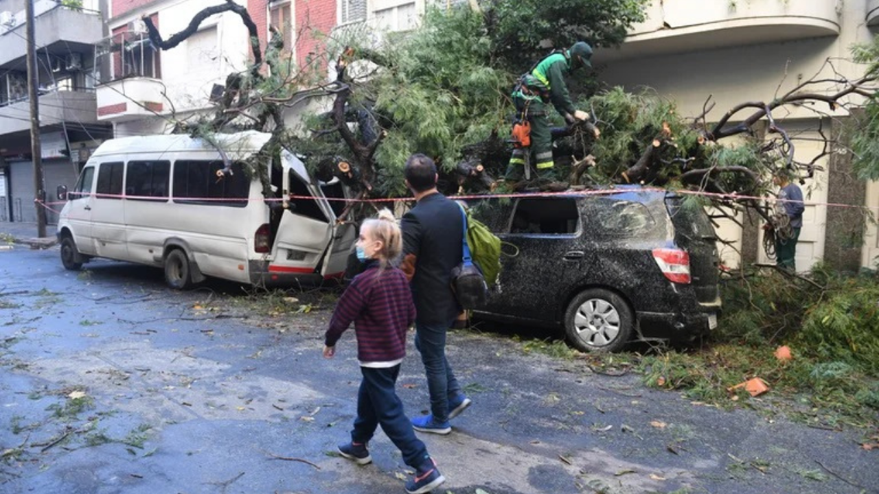 De acuerdo a las autoridades porteñas, se registraron 119 caídas de ramas y árboles. No se producía un fenómeno de esa magnitud desde abril de 2012.