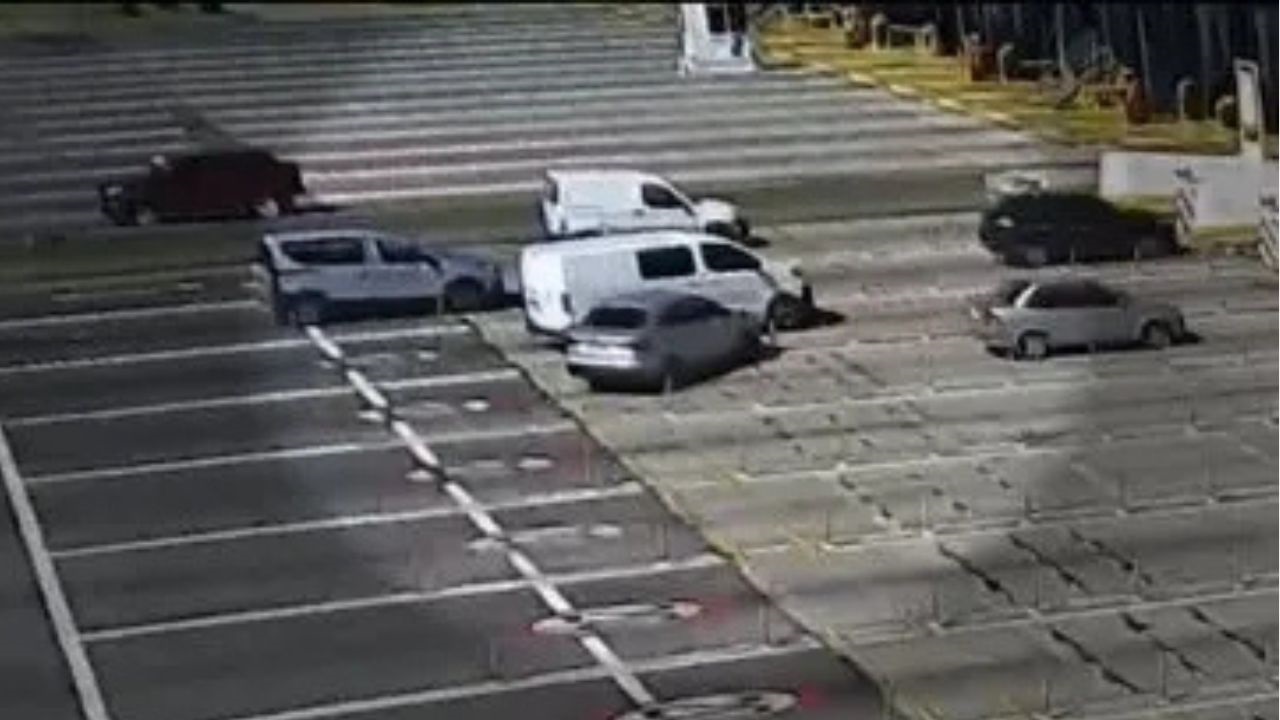 La Agencia Nacional de Seguridad Vial solicitó la suspensión de las licencias de dos hombres que protagonizaron una pelea en la autopista Bs As–La Plata.