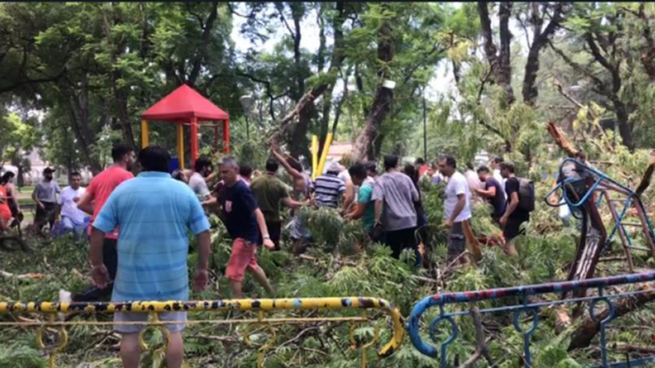 Una nena de 8 años se encuentra en estado crítico por el golpe. Ocurrió este domingo en San Miguel de Tucumán.