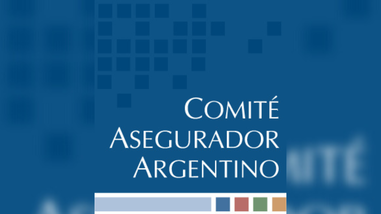 La medida adoptada por el Ministerio de Economía, a través del Decreto 377/23, por el cual se extiende el Impuesto PAIS a distintas actividades, impactará negativamente en la industria aseguradora privada.