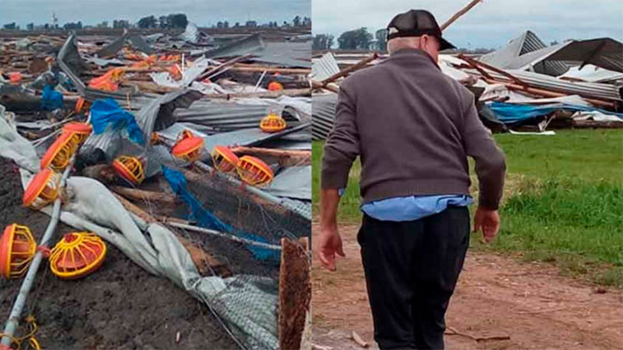 En la localidad donde una granja avícola fue destruida por el temporal, ocurrieron más destrozos. “Se cayó la antena de internet, hubo daños en una escuela y casi se vuelva el techo”, dijo el presidente de la Junta de San Ernesto.