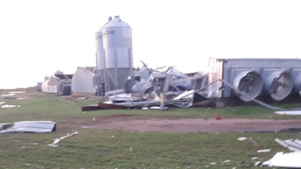 Los fuertes vientos registrados anteayer en la zona de San Ambrosio, a 15 kilómetros de Río Cuarto, destruyeron la instalación avícola de Ezequiel Bernardi.