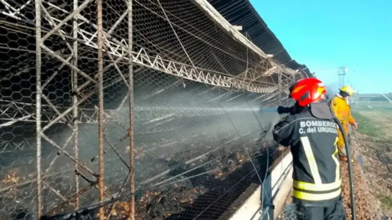 El hecho ocurrió en un establecimiento sobre la Autovía Artigas, en el departamento Uruguay. Las pérdidas fueron totales en el sector afectado.