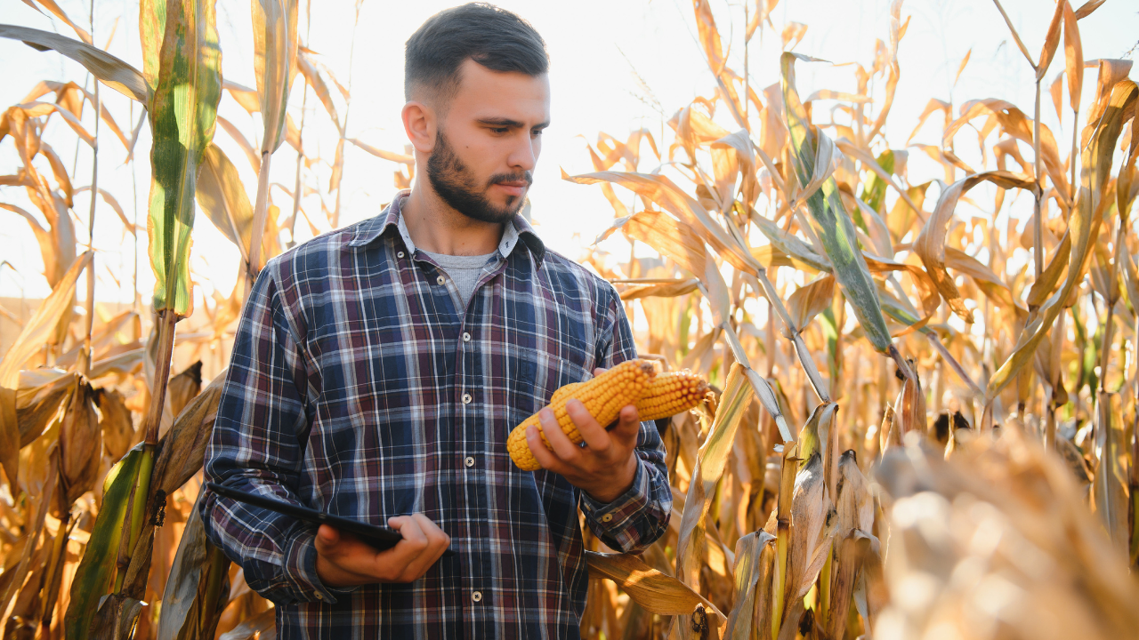 La aseguradora líder en seguros agropecuarios, lanzó su campaña para la temporada 2025/2026 con foco en coberturas contra granizo y seguros para ganado.