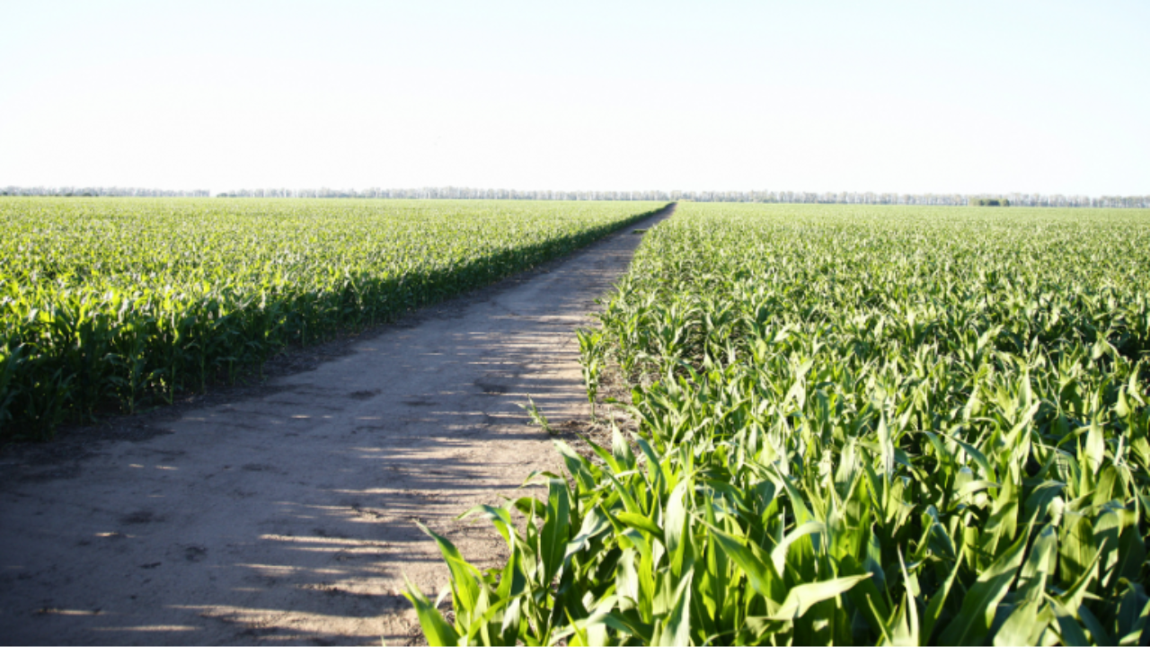 La experiencia piloto, cubre más de 500.000 hectáreas de soja y maíz y se presenta como un modelo replicable para otras provincias agrícolas.