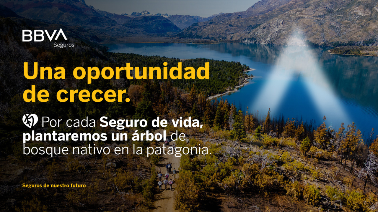 Este martes 16 de mayo en la Ciudad de Buenos Aires, BBVA Seguros lanzó oficialmente su acuerdo sustentable con la ONG argentina, ReforestARG, en el evento “Una oportunidad de crecer”. La principal consigna de la alianza es “Cuidando tu Vida, cuidas la de todos” puesto que el compromiso de la compañía aseguradora es plantar un árbol por cada Seguro de Vida emitido...