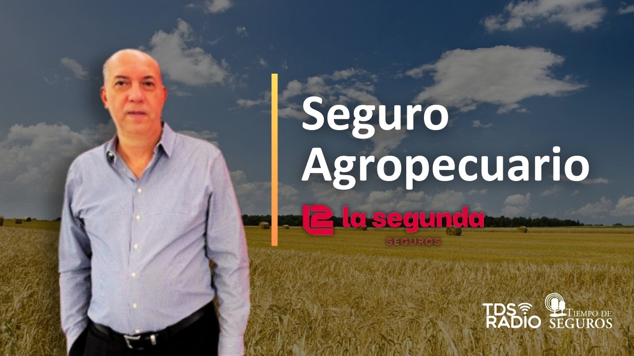 Conversamos con el Ing. Agr. Carlos Comas, Gerente de Riesgos Agropecuarios y Forestales de La Segunda Seguros, para analizar la actualidad de el ramo, los principales productos que comercializan, entre otros temas.