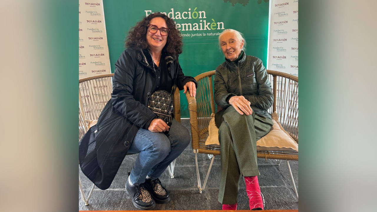 Esta mañana en el Bioparque Temaikèn la Fundación Temaikèn organizó un encuentro con la Dra. Jane Goodall, una de las más grandes defensoras de la vida silvestre.