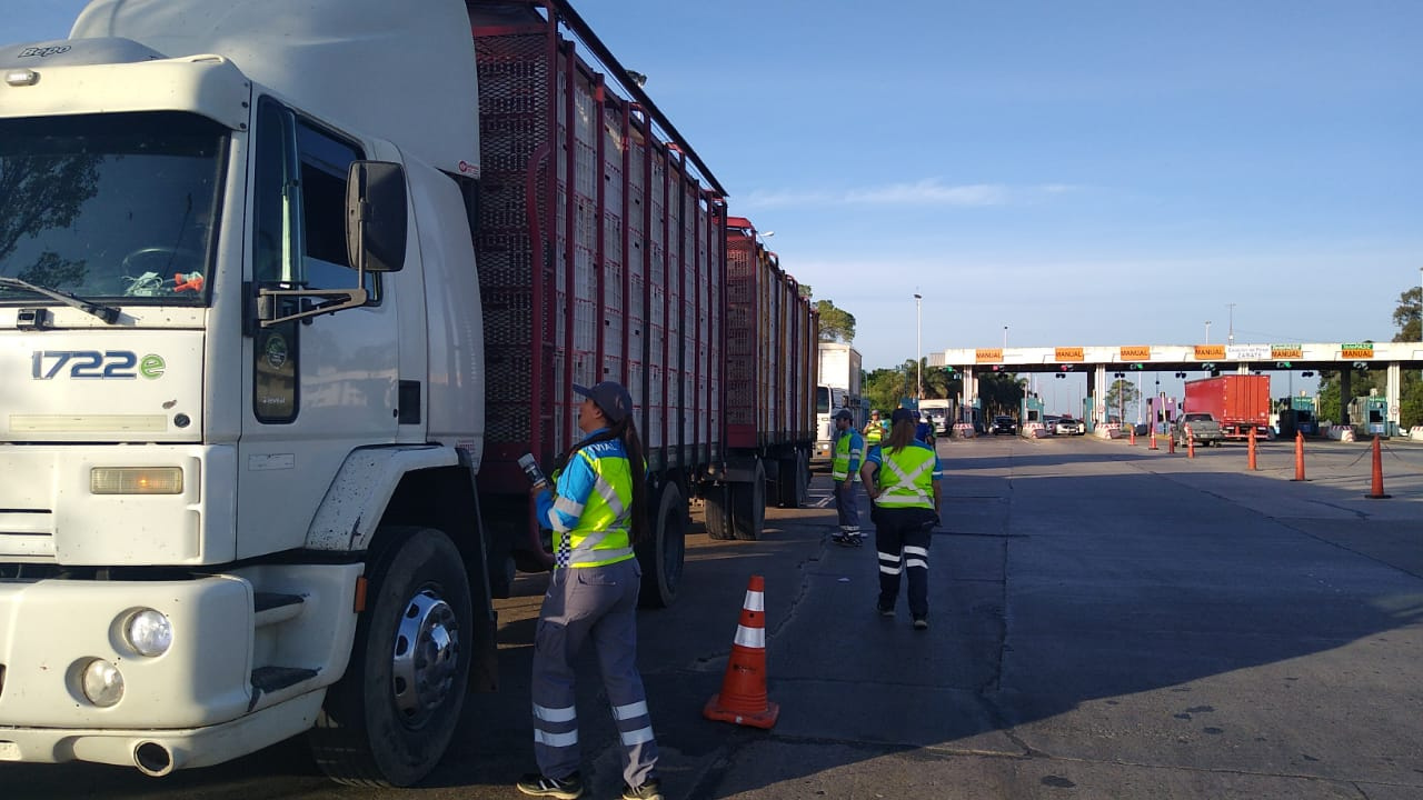 El conductor circulaba por la Ruta Nacional 9. Al ser detenido en el Peaje Lima, admitió haber consumido cerveza. Se le retuvo la licencia y no pudo continuar manejando.