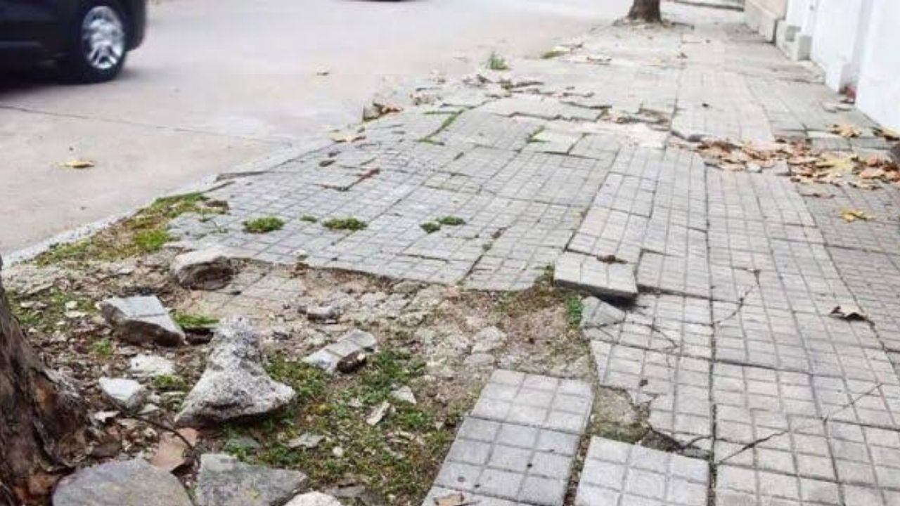 La Cámara Civil confirmó el fallo a favor de una mujer que se accidentó en el límite entre Caballito y Parque Chacabuco. La demanda fue dirigida contra el Gobierno porteño y la propietaria frentista, pero la Justicia responsabilizó únicamente a uno de ellos.