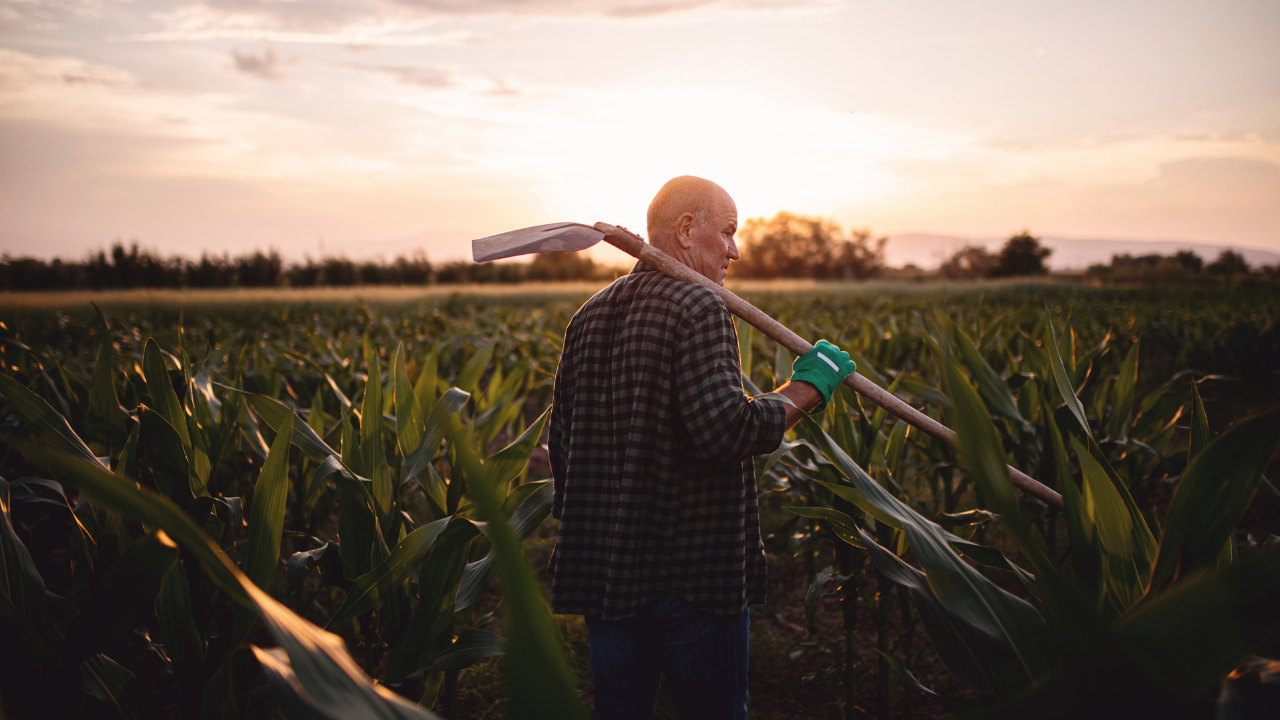 La compañía, líder en seguros agropecuarios, reconoce al campo como motor de desarrollo, ofreciendo soluciones innovadoras y a medida.