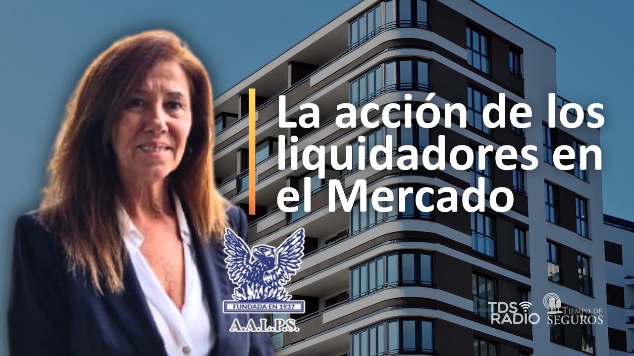 También quisimos conocer el balance del 2025 y las líneas de acción para el 2026 de esta estimada Asociación, para lo cual conversamos con su presidenta, Virginia Alarcia.