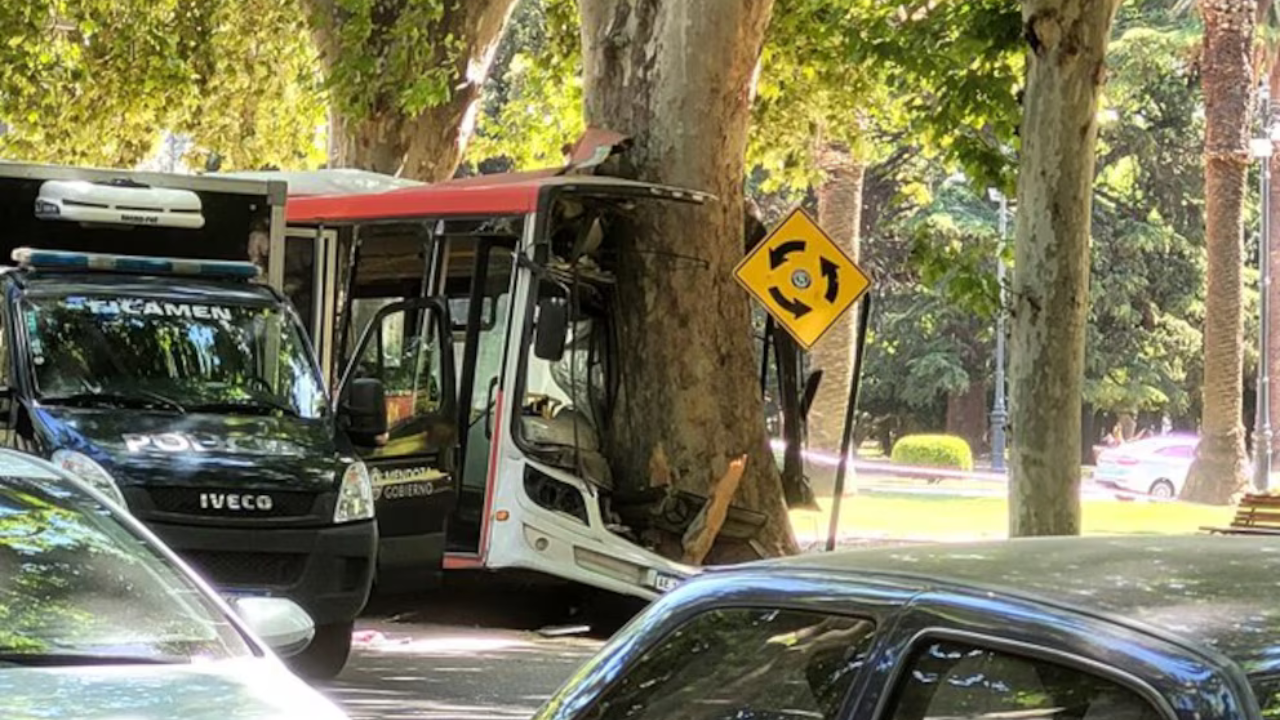 El hecho ocurrió en el Parque San Martín, en la capital provincial. Testigos aseguraron que el colectivero hizo esa mala maniobra al advertir que el vehículo se había quedado sin frenos.