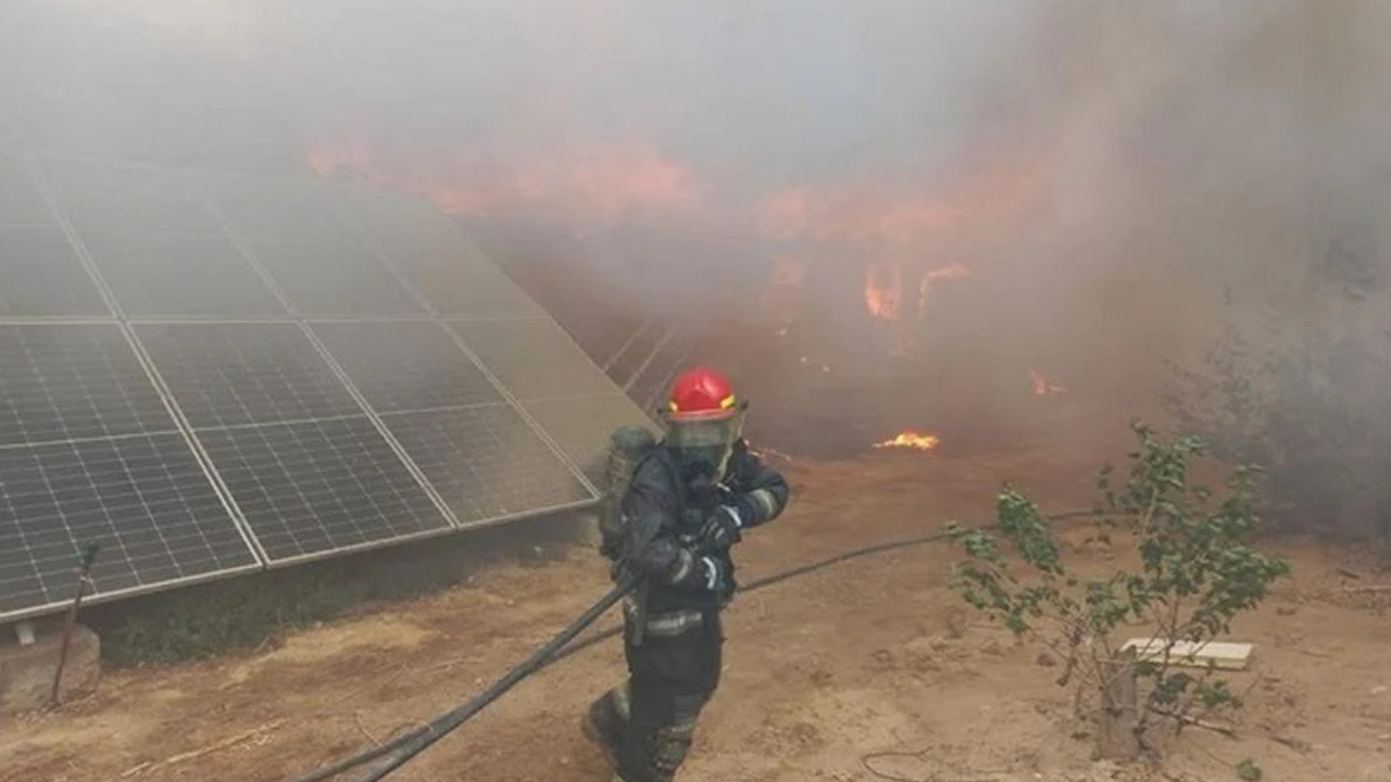 El hecho se registró el lunes al mediodía en una granja ubicada en la calle Los Álamos al 8500.